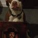 Profile Picture of Collin Kimple (@khorseshoeing) on Pinterest
