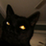 Profile Picture of Clifton James Donnelly (@MiFiendFlickr) on Flickr