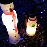 Profile Picture of Miyuki Yokoyama (@miyukiyokoyama) on Instagram