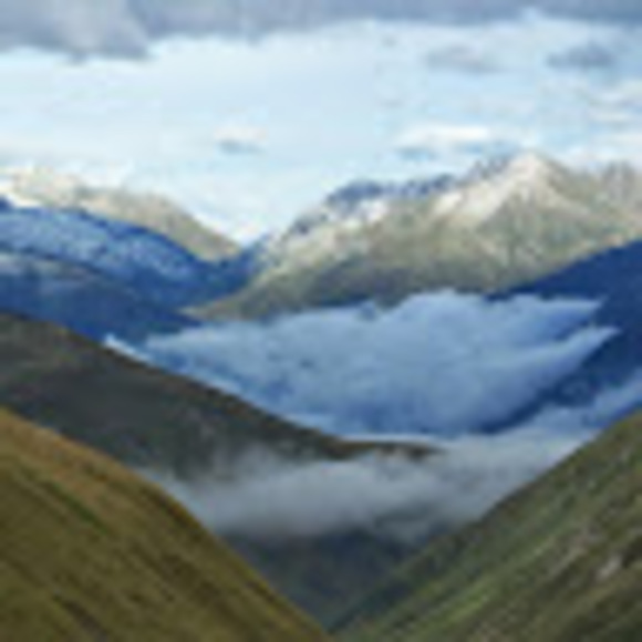 Profile Picture of Sidali Sidali (@sidali_sidali) on Poshmark