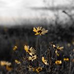 Profile Picture of George Wu (@george_wu32) on Instagram