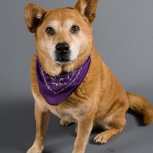 Profile Picture of Boy Dog (@349266300) on Myspace