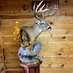 Profile Picture of Chris Fortner (@fortnertaxidermy) on Instagram