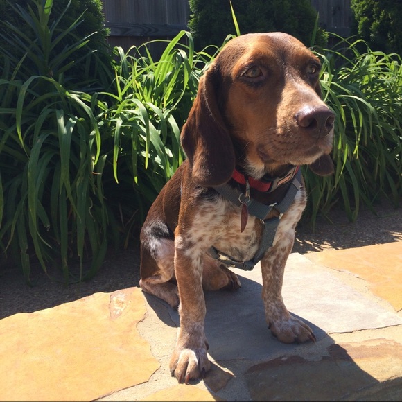 Profile Picture of Maria Ayerdis (@mariaayerdis) on Poshmark