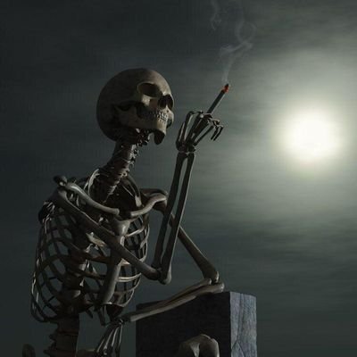 Profile Picture of Hans (@Hans80943634) on Twitter