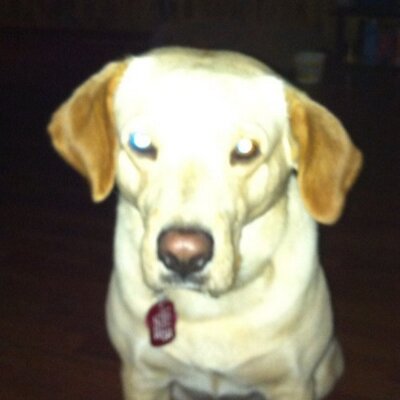 Profile Picture of John Osburn (@johnosburn) on Twitter