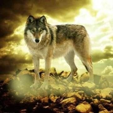 Profile Picture of Nicholas Grady (@nicholas_grady4) on Twitter