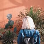 Profile Picture of Allison Archibald (@allisonarchie) on Instagram