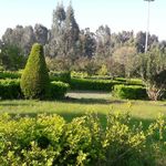 Profile Picture of فرهاد وفایی (@farhad.vafaee52) on Instagram