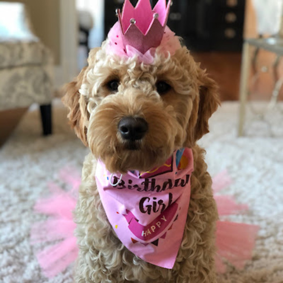 Profile Picture of Ryan Lavey (@ryanlavey1280) on Poshmark