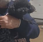 Profile Picture of Roberto Ciraolo (@Roberto-Ciraolo) on Facebook