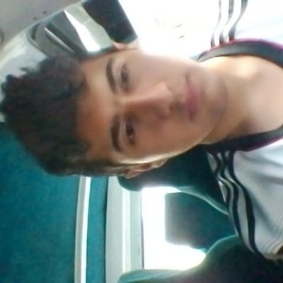 Profile Picture of David Ricardo T. W. (@davidweich1) on Twitter