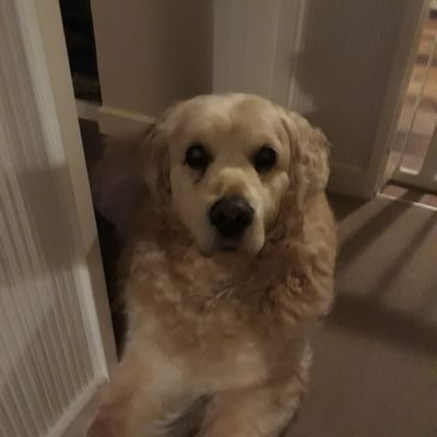 Profile Picture of Darren Jarvis (@hailsham73) on Twitter