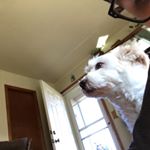 Profile Picture of Fabian Mata Jr (@fabian.mata.jr) on Instagram