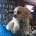 Profile Picture of Jerry Brocious (@jerry.brocious.16) on Facebook