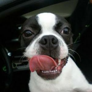 Profile Picture of nicholasjulian311 (@nicholasjulian311) on Tiktok