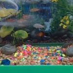 Profile Picture of Ariel Lozada (@ariel_lozada30) on Instagram