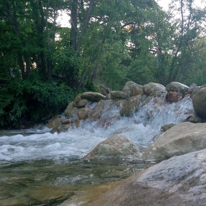 Profile Picture of Loretta (@lorettamul) on Tiktok