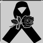 Profile Picture of Luisa Carrera Sanchez (@luisacarrerasanchez) on Instagram