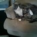 Profile Picture of Wanda Clarkson (@wclarkson1952) on Pinterest