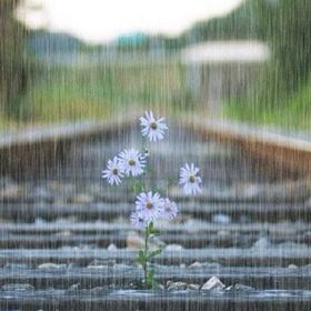 Profile Picture of Jen Porter (@izzyporter) on Pinterest