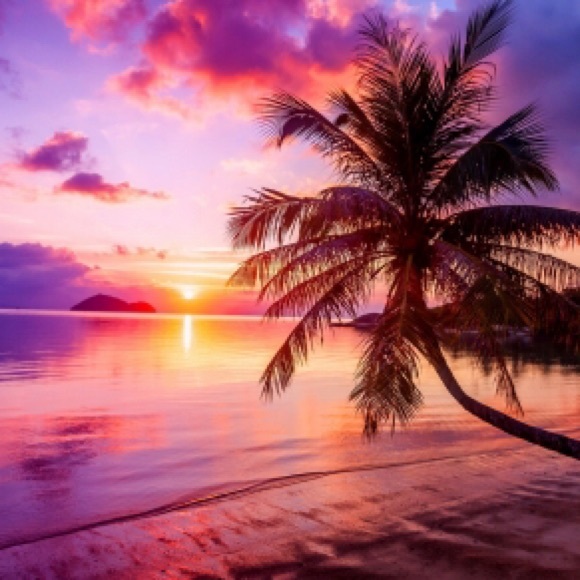 Profile Picture of Pat Krause (@pats_closet577) on Poshmark