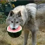 Profile Picture of Cody Blanchet (@Cody-Blanchet) on Facebook