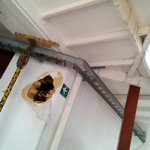 Profile Picture of Carlos Serrano (@cayequitas) on Instagram