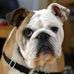 Profile Picture of Jim Bieschke (@jim.bieschke.5) on Facebook
