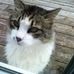 Profile Picture of Hal Caldwell (@hal.caldwell.9) on Facebook