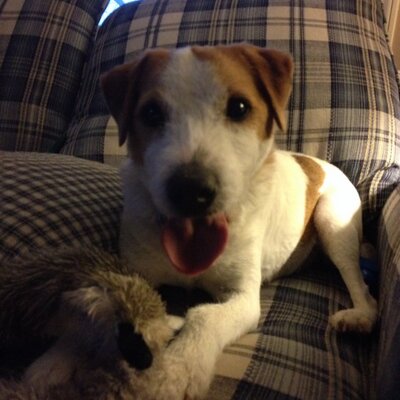 Profile Picture of Jason Foote (@jasonfoote9) on Twitter