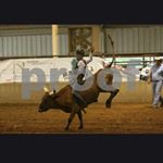 Profile Picture of Dustin Domingue (@dustin_domingue) on Instagram