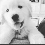 Profile Picture of Rachel McHugh (@rachel.mchugh.946) on Instagram