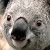 Profile Picture of david hilbun (@davidhilbun83) on Pinterest