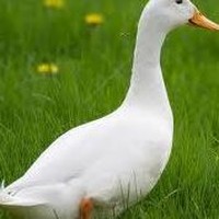 Profile Picture of Marc Kay (@marc-kay-7) on Quora