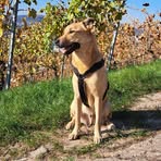 Profile Picture of Michael Grupp (@Michael-Grupp) on Facebook