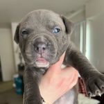 Profile Picture of Jaylen Rutledge (@jaylen_rutledge) on Instagram