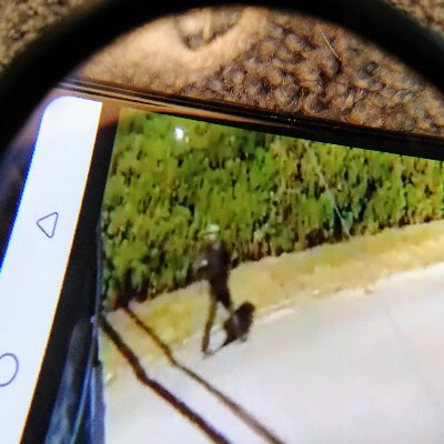 Profile Picture of Kathy Ann Jason E Carr Merkley (@KathyMerkley) on Twitter