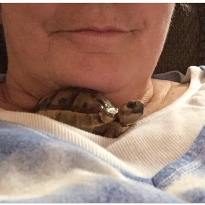Profile Picture of Bobbie Johnson / Nanny Noodle (@bobbiejohnson05) on Twitter