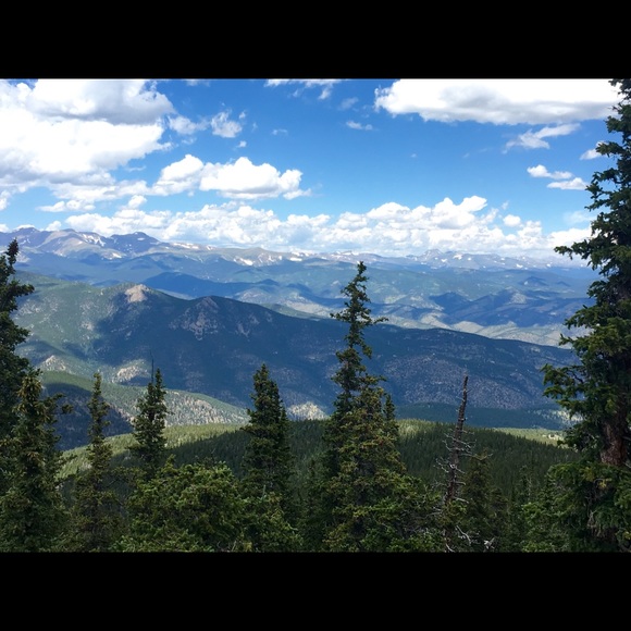 Profile Picture of Ann Campbell (@mamaannsoup) on Poshmark