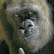 Kevin Brook - Youtube Profile Picture of Kevin Brook (@kevinbrook9760) on Youtube