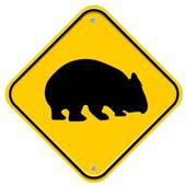 Profile Picture of Will Morgan (@WileyWombat) on Twitter