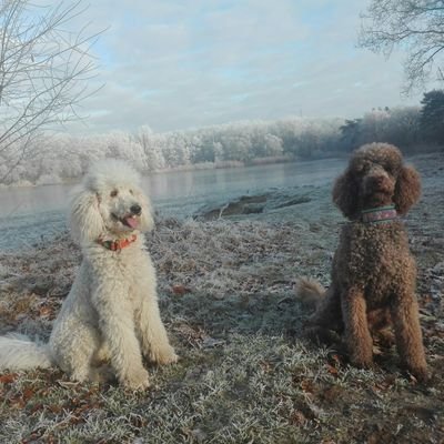 Profile Picture of Michael Brau (@MbBrau) on Twitter