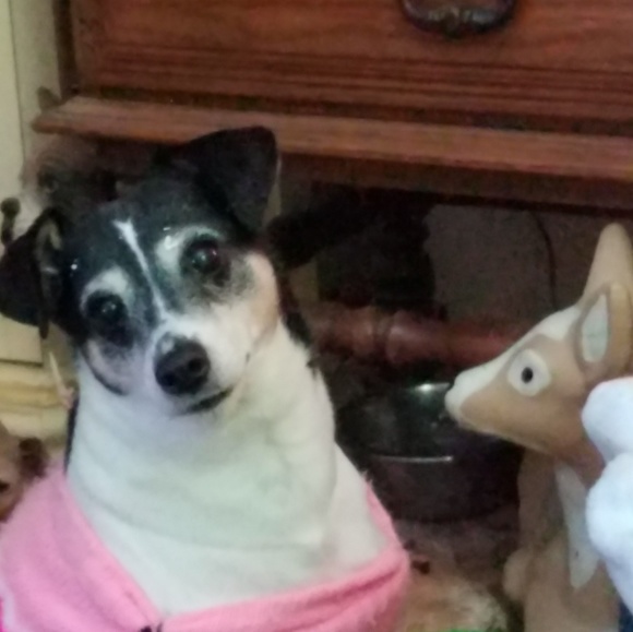 Profile Picture of Crystal Mullin (@crystal99834) on Poshmark