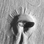 Profile Picture of vphill (@vphill) on Flickr