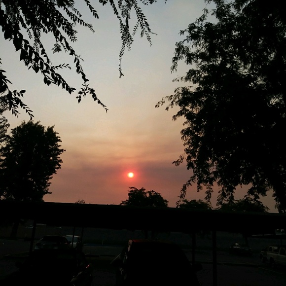 Profile Picture of Azza Awad (@azzaa) on Poshmark