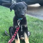 Profile Picture of Jackson Burt Mayther (@jacksoninthepnw) on Instagram