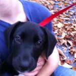 Profile Picture of Nolan Stewart (@nolan_sid) on Instagram