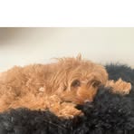 Profile Picture of James Gillanders (@James-Gillanders) on Facebook