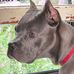 Profile Picture of Paul Wisner (@paul.wisner.77) on Facebook
